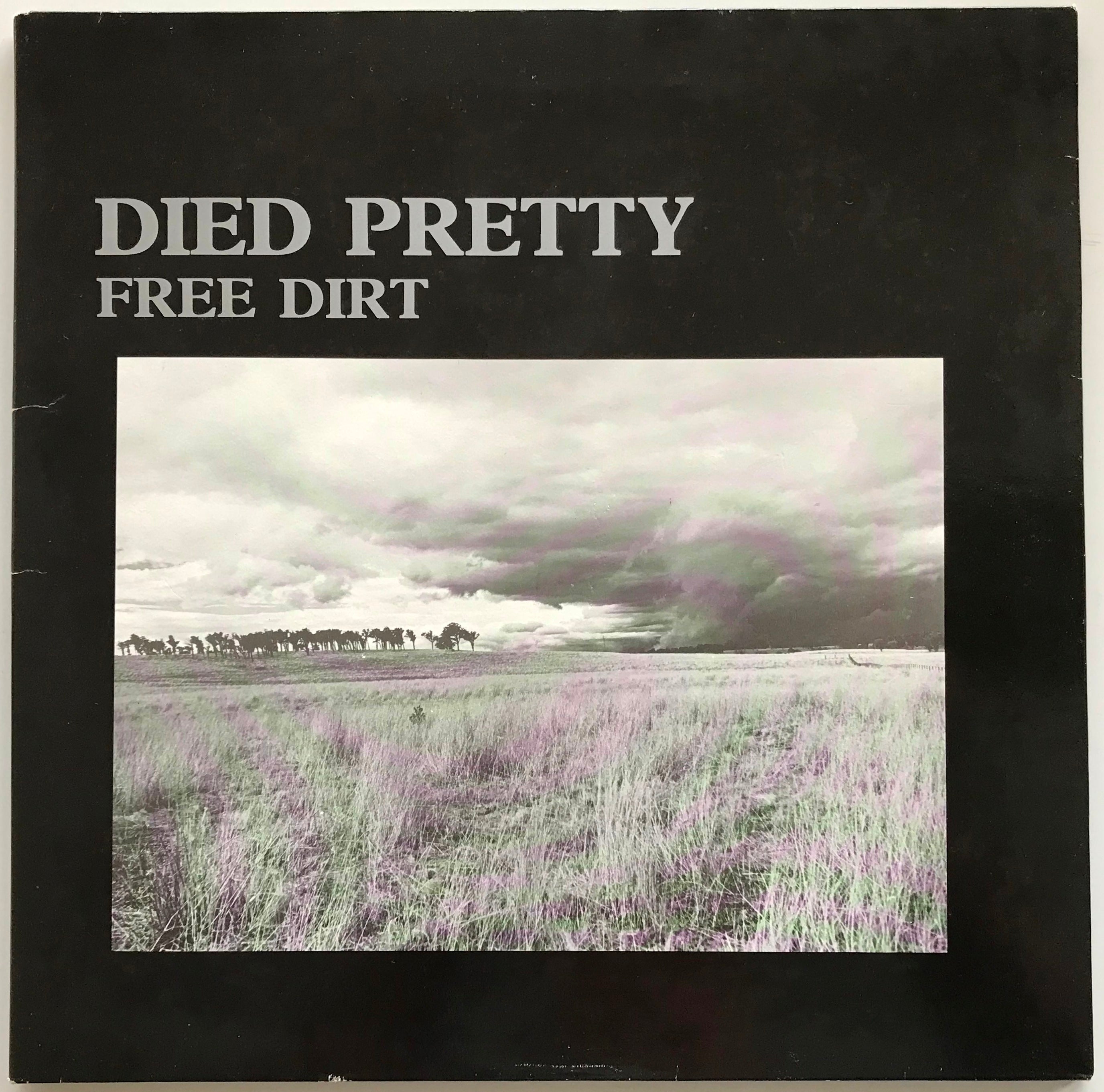 Died Pretty - Free Dirt Music Album