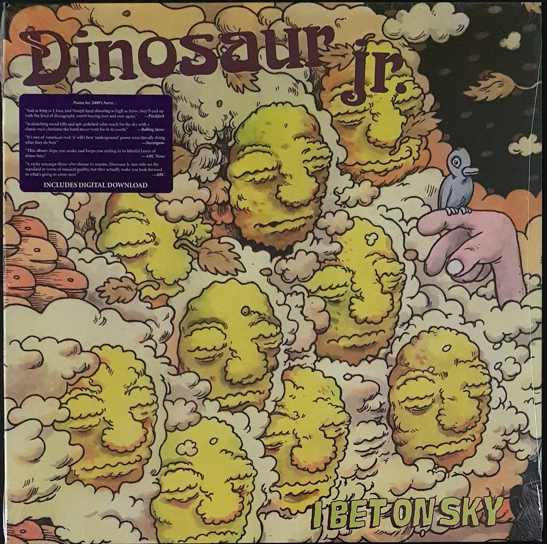 Dinosaur Jr's Album - I Bet On Sky, A Musical Gem