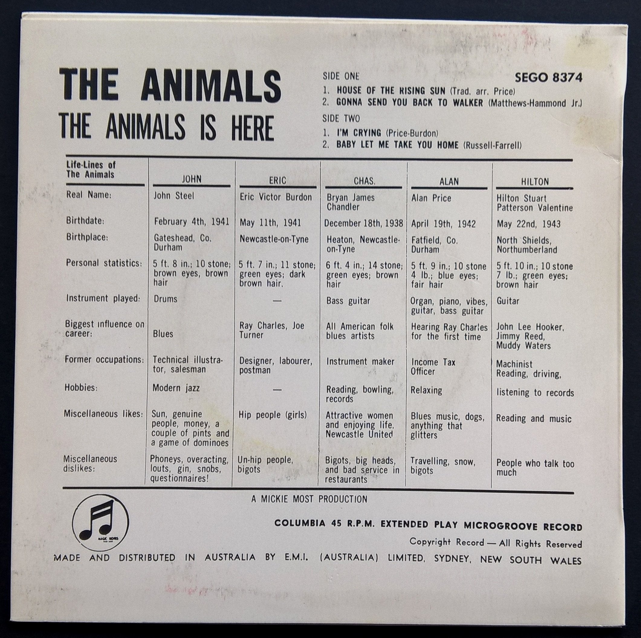 Animals Are Here - A Collection of Animal - Themed Items