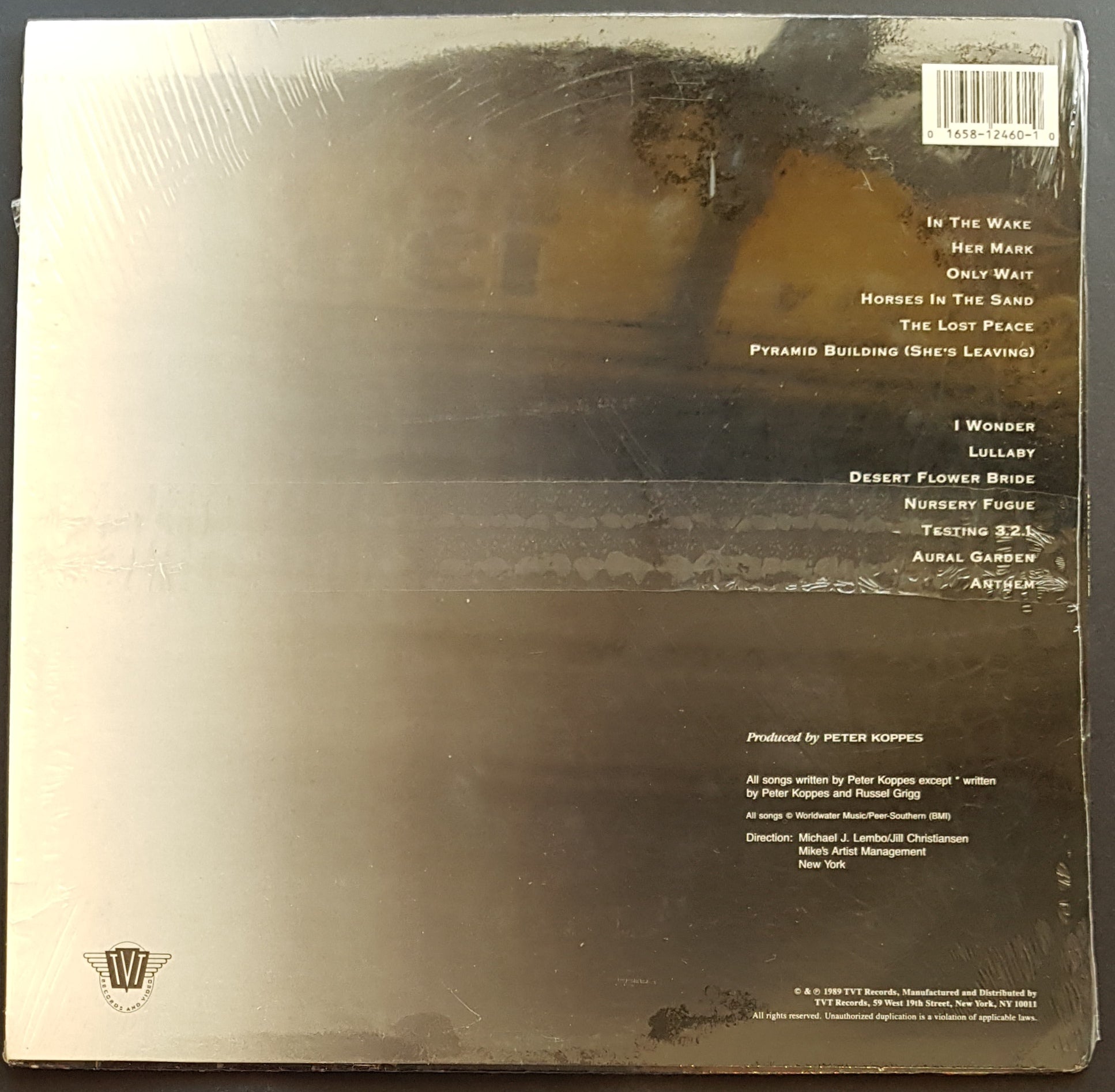 Music Album - Church (Peter Koppes) - From The Well