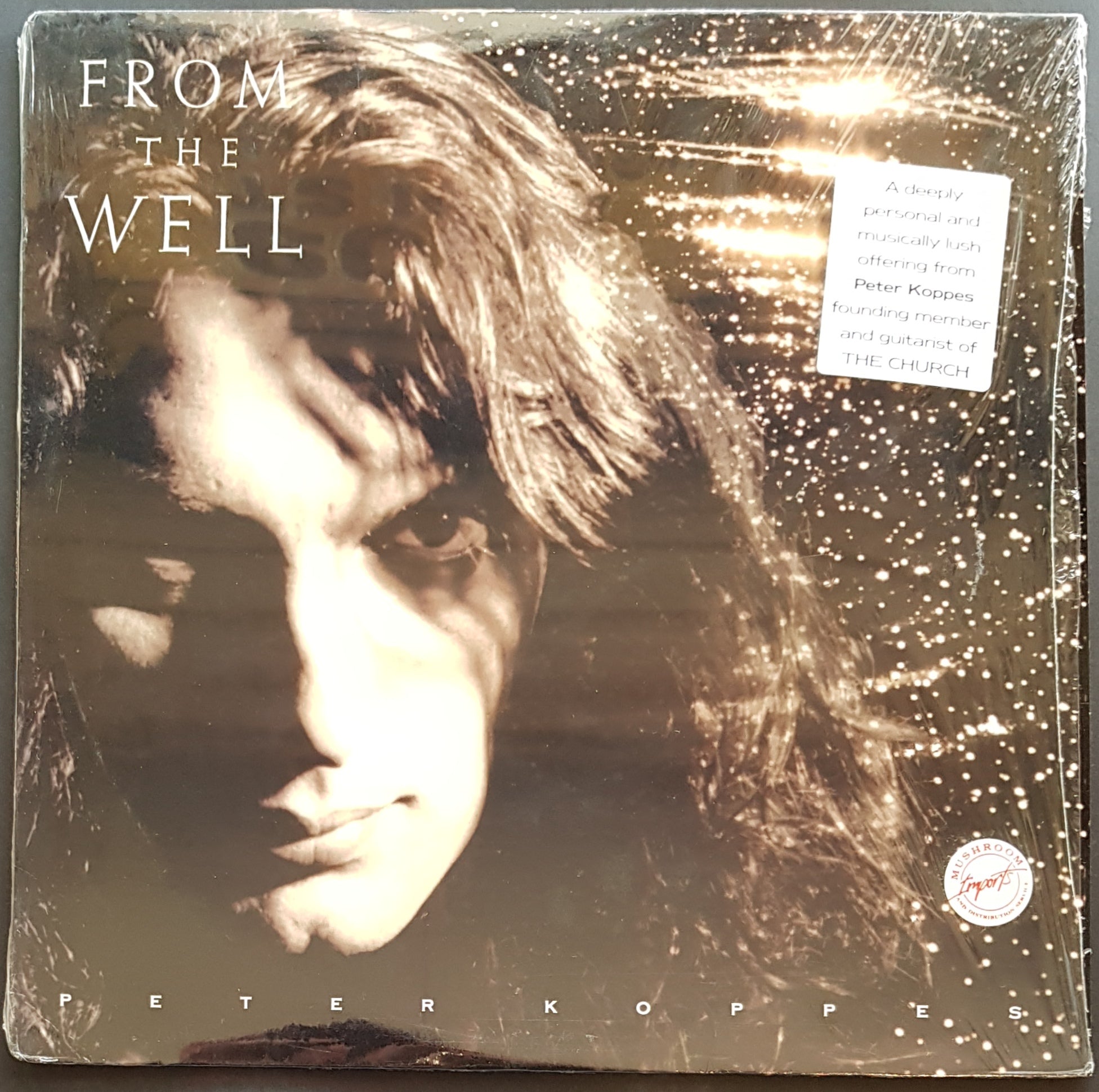 Music Album - Church (Peter Koppes) - From The Well