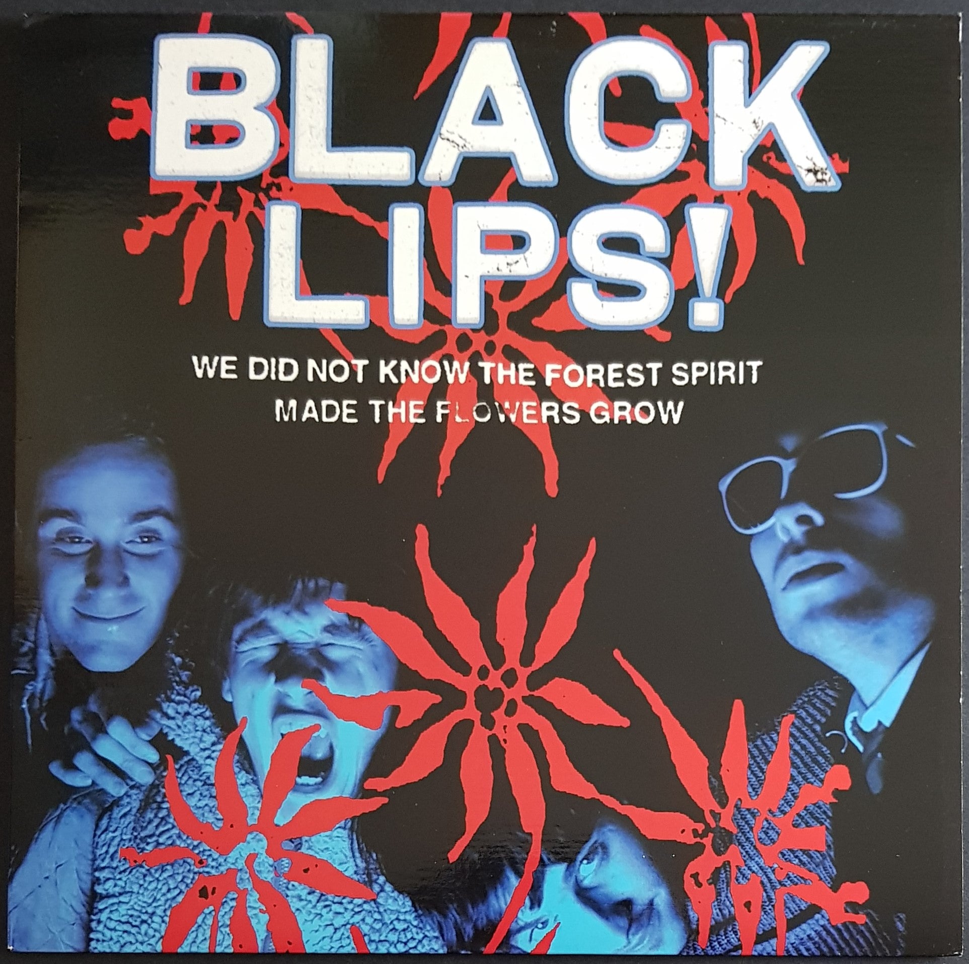 Red Vinyl: Black Lips - Unaware of Forest Spirit Making Flowers Bloom in 2004
