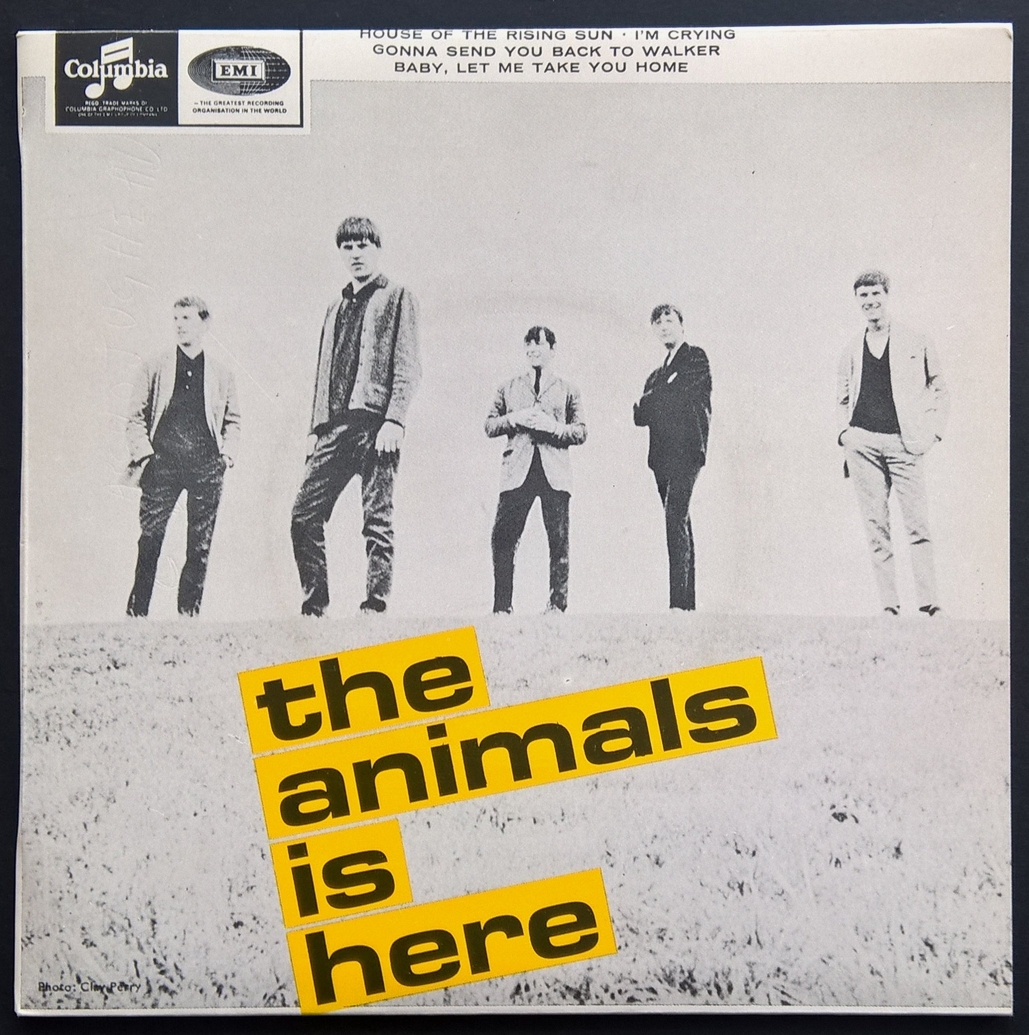 Animals Are Here - A Collection of Animal - Themed Items