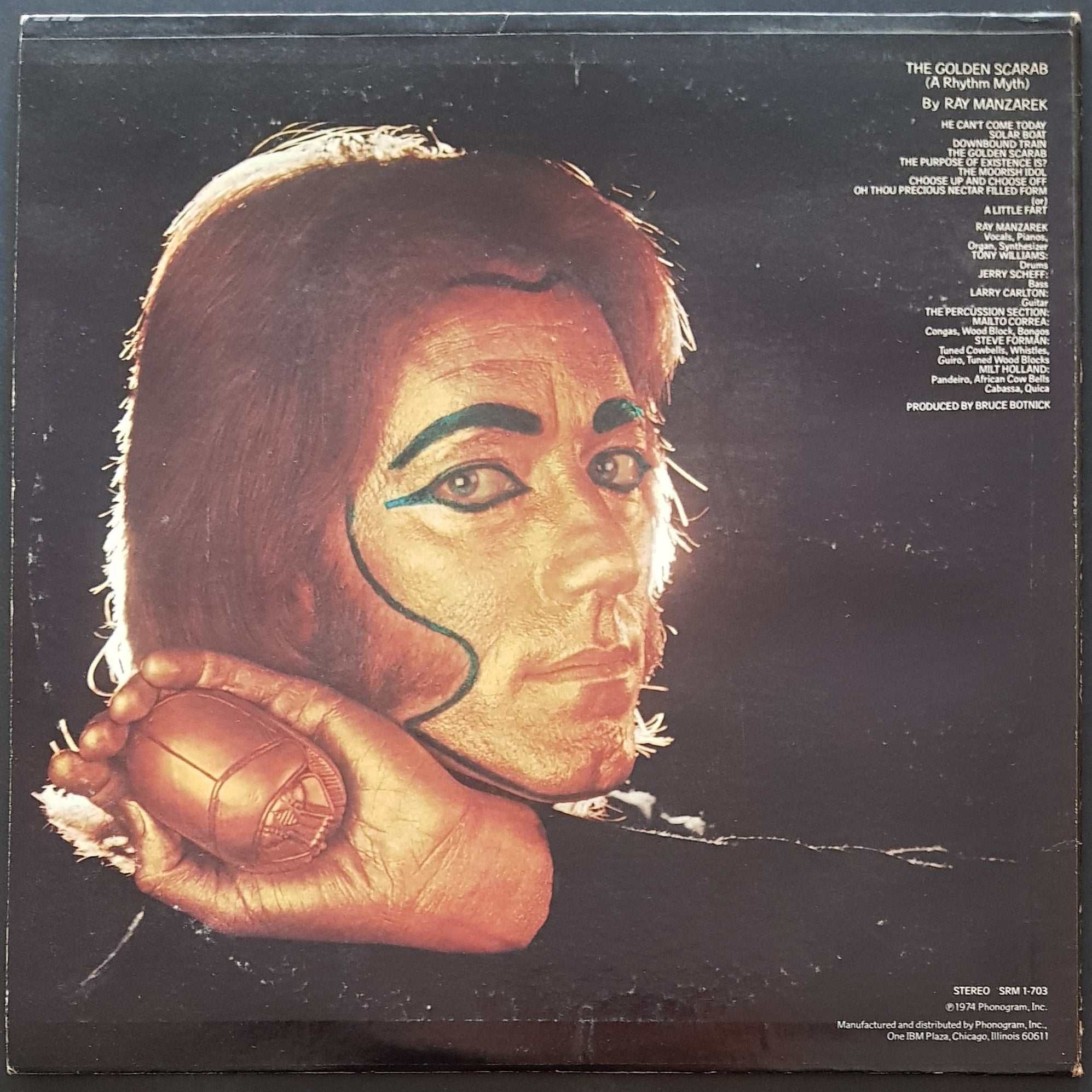 Doors (Ray Manzarek) Vinyl Record - The Golden Scarab