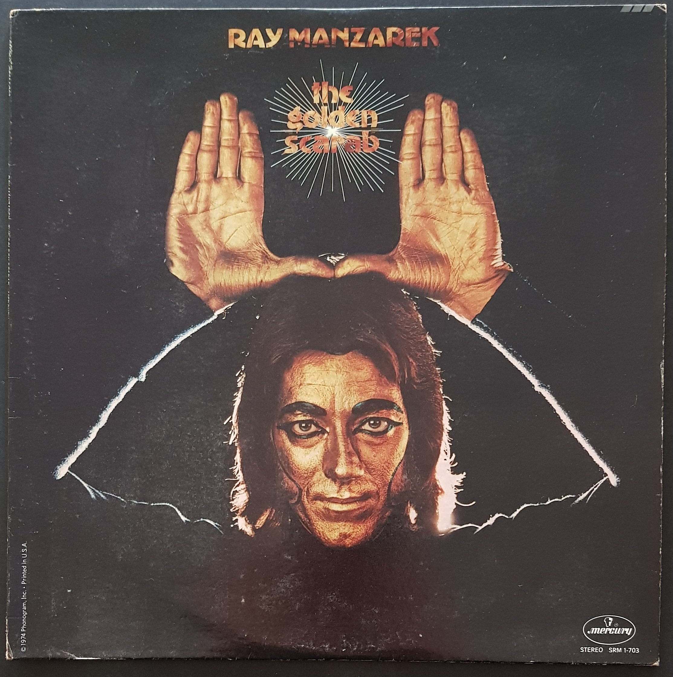Doors (Ray Manzarek) Vinyl Record - The Golden Scarab